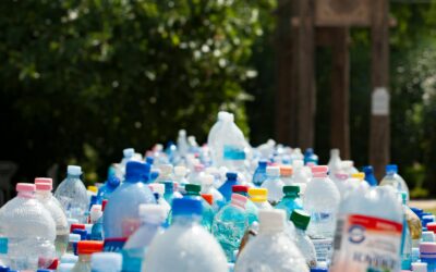 What Makes Environ Green Stand Out in Waste Management